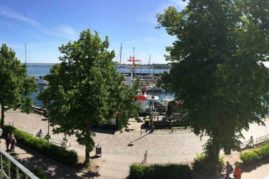 Stromsicht, Direkt Am Alten Strom Apartment *